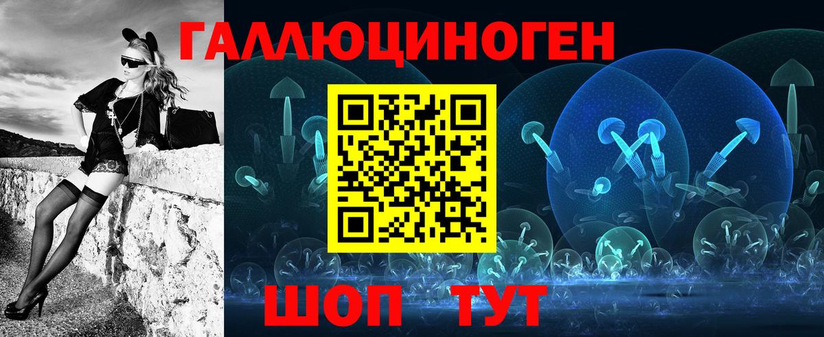 Гай  Галлюциногенные грибы Psilocybe  Вход с VPN 