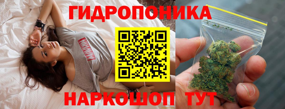 Бошки Шишки планчик  Конопля AK-47  Шишки марихуана марихуана  Гай  Вход с VPN 