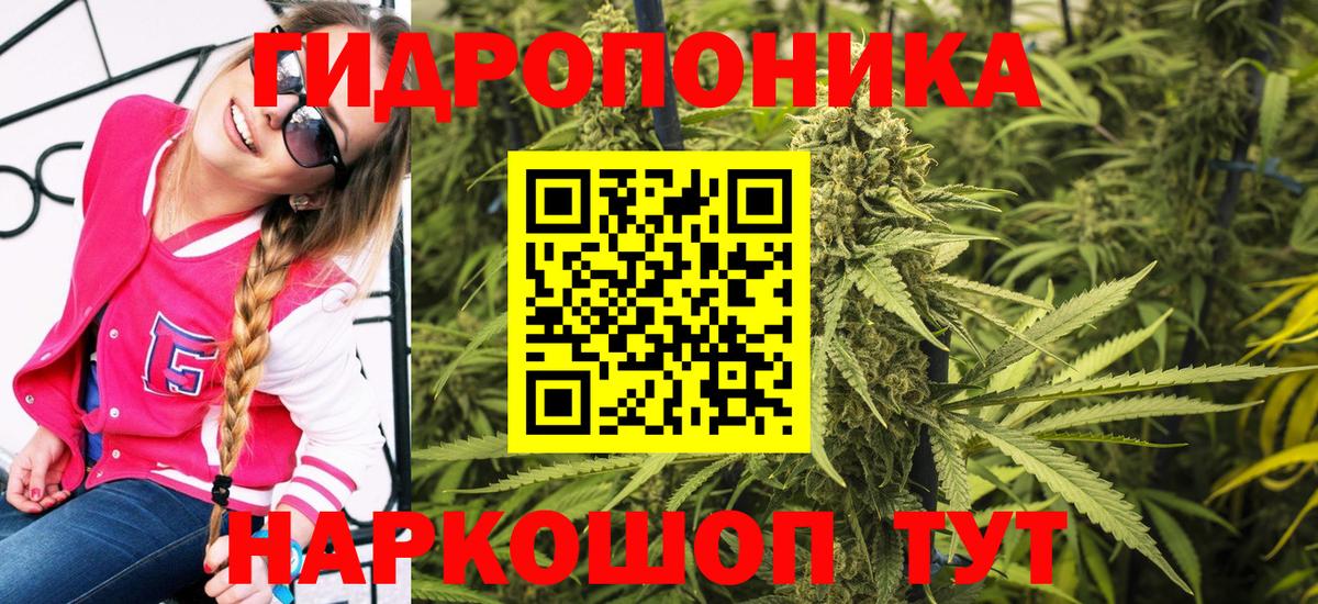 Канабис OG Kush Гай